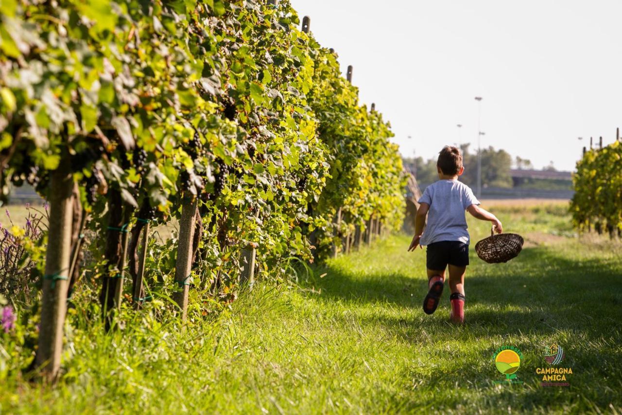 Agriturismo Ai Carpini มาร์กอน ภายนอก รูปภาพ